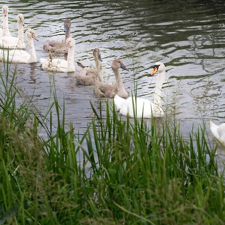 L'Attrap'Reves : Le Confort Hotelier, La Convivialite En Plus Ergersheim Экстерьер фото